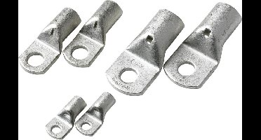 VETUS Accu Kabelschoen voor 70 mm² Accukabel met gat M10 (2 stuks)