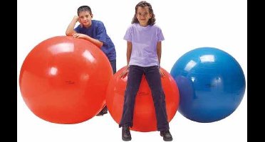 Gymnic Physio Zitbal 85 cm - Fitnessbal - Rood - Ø 85 cm