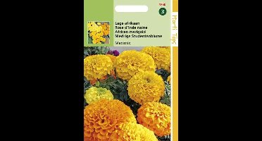 Hortitops Zaden - Tagetes Erecta Nana Maximix Mengsel