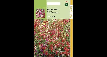 Hortitops Zaden - Clarkia Elegans Dubbelbloemig Gemengd