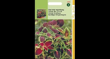 Hortitops Zaden - Coleus Blumei Regenboogmengsel