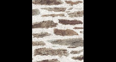 Dutch Wallcoverings vliesbehang steen/hout
