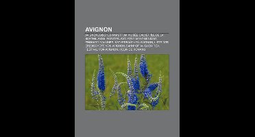 Avignon