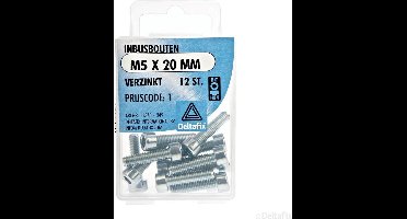 Inbusbouten M5 X 20 mm Verzinkt 12 STUKS