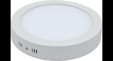 Groenovatie LED Paneel Plafondlamp - 12W - Rond - 170x40 mm - Warm Wit - Opbouw