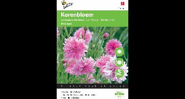 Buzzy® Centaurea cyanus Pink Ball - Korenbloem