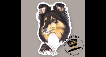 Magneet Hond Shetland Sheepdog, tricolor