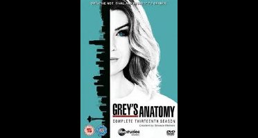 Grey's Anatomy S13