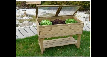 Moestuinserre op poten 120 x 60 x 90 cm