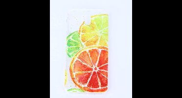 Shop4 - Samsung Galaxy J5 (2017) Hoesje - Zachte Back Case Fruit Schilderrij Transparant