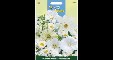 Zomerbloemen witte tinten - set van 6 stuks