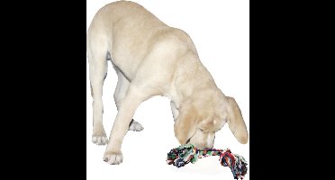 Kerbl Flostouw van Katoen 20cm