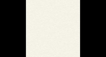 Dutch Wallcoverings vliesbehang uni - lichtgrijs