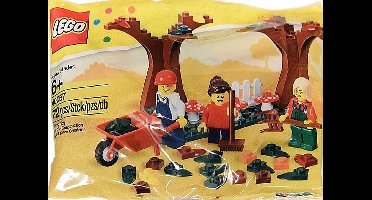 LEGO Fall Scene 40057 /Toys