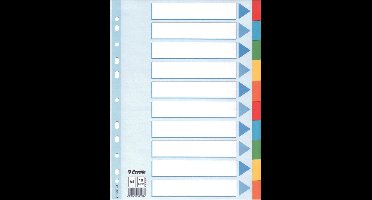 Esselte tabbladen 10 tabs