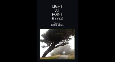 Light at Point Reyes