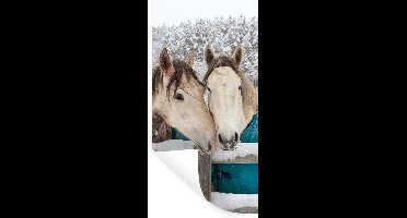 Muurstickers - Sticker Folie - Paarden - Deken - Sneeuw - 20x40 cm - Plakfolie - Muurstickers Kinderkamer - Zelfklevend Behang - Zelfklevend behangpapier - Stickerfolie