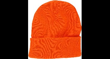 Beanie Holland
