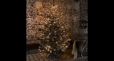 Lichtmantel voor binnen en buiten - 400 LEDs - 4 meter - Kerstboomverlichting - Twinkelend