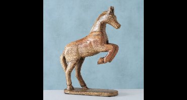 Beeld Mangohout - Paard