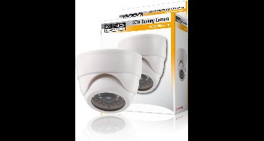Verstelbare dummy dome binnencamera (LET OP geen echte camera)
