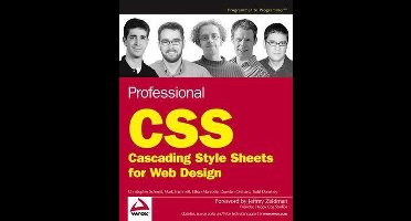 Professional CSS