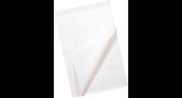 Flipoverpapier - 65 x 100 cm - Blanco Ruit - 80 gram - 50 vel