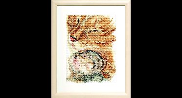Pako Borduurpakket - telpatroon met codekaart - poes met haar kitten - 237.092 - voorgesorteerd garen - Aida - 22 x 30 cm - DIY kit