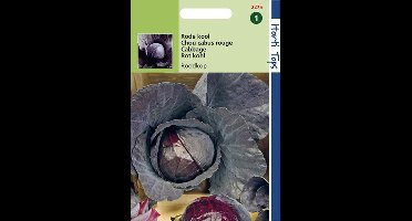 Hortitops Zaden - Rodekool Roodkop ( Cabeza Negra 2 )