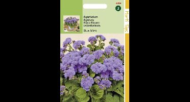 Hortitops Zaden - Ageratum Houstonianum (Mexicanum) Blue Mink