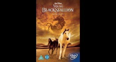 Young Black Stallion