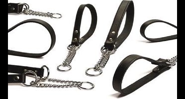 Beeztees Wurghalsband met ketting 55cmx25mm