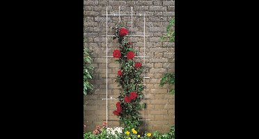 Metalen klimrek gegalvaniseerd H145x72,5cmNature