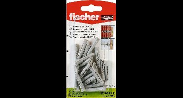 Fischer Universeelplug Flens U x 10 x 60RK (6)