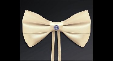 Partydeco - Strik ivoor steentje (4st)