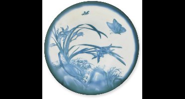 Schaal - "Daffodil" - Cameo glas - 235 cm hoog
