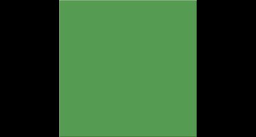 Karton - gras groen - A2 - 42x60cm - 180 grams - 10 vellen