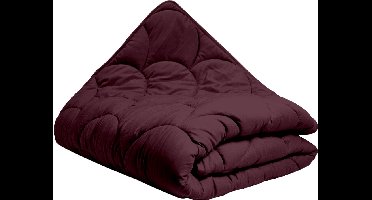 All in One Wasbaar Dekbed Easy 200x200 - Dekbed zonder overtrek - Hoesloos dekbed - Eazy dekbed - Gekleurd dekbed - All Year Winterdekbed & Zomerdekbed - Tweepersoons Dekbed - Burgundy- Dekbedden