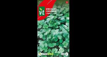 Koriander Coriandrum Sativum Zaden - Ideaal voor Potten, Bloembakken en Volle Grond