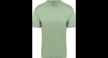 King Essentials The Steve T-Shirt Lichtgroen - Maat S - Heren - Casual T-shirts