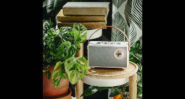 Camry premium CR1902 Bluetooth Luidspreker en Radio- Wit