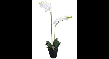 Mica Decorations kunstplant Phalaenopsis Orchidee wit H67cm D25cm