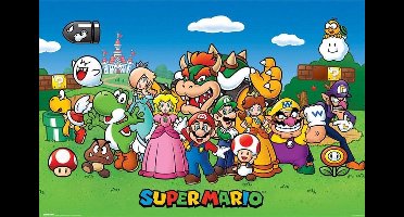 Super Mario Bros poster 61 x 91,5 cm.