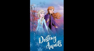 Pyramid Poster - Disney Frozen Destiny Awaits Maxi - 1 X 610 Cm - Blue