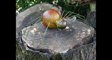 grote SPIN spider metaal