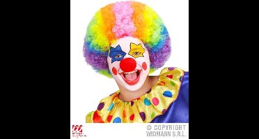 Pruik Clown Multikleuren