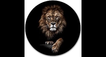 Wandcirkel Lion King - WallCatcher | Acrylglas 100 cm | Muurcirkel Leeuw