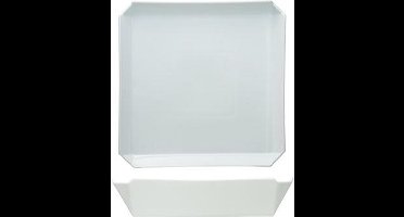 Edge Dessert Plate 22.5x22.5xh2.6cm