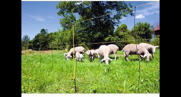 Kerbl Afrasteringsdraad Niet van toepassing