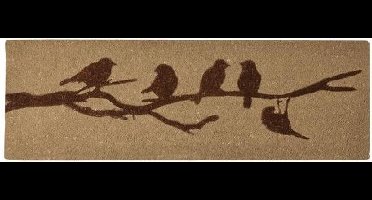 Deurmat kokos extra breed - 120 x 40 x 2 cm - bleek of bruin